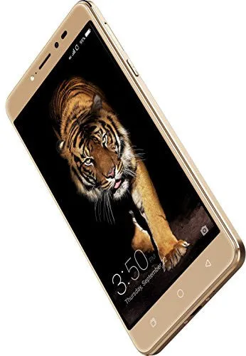 Coolpad Note 5 (Royal Gold, 32 GB)