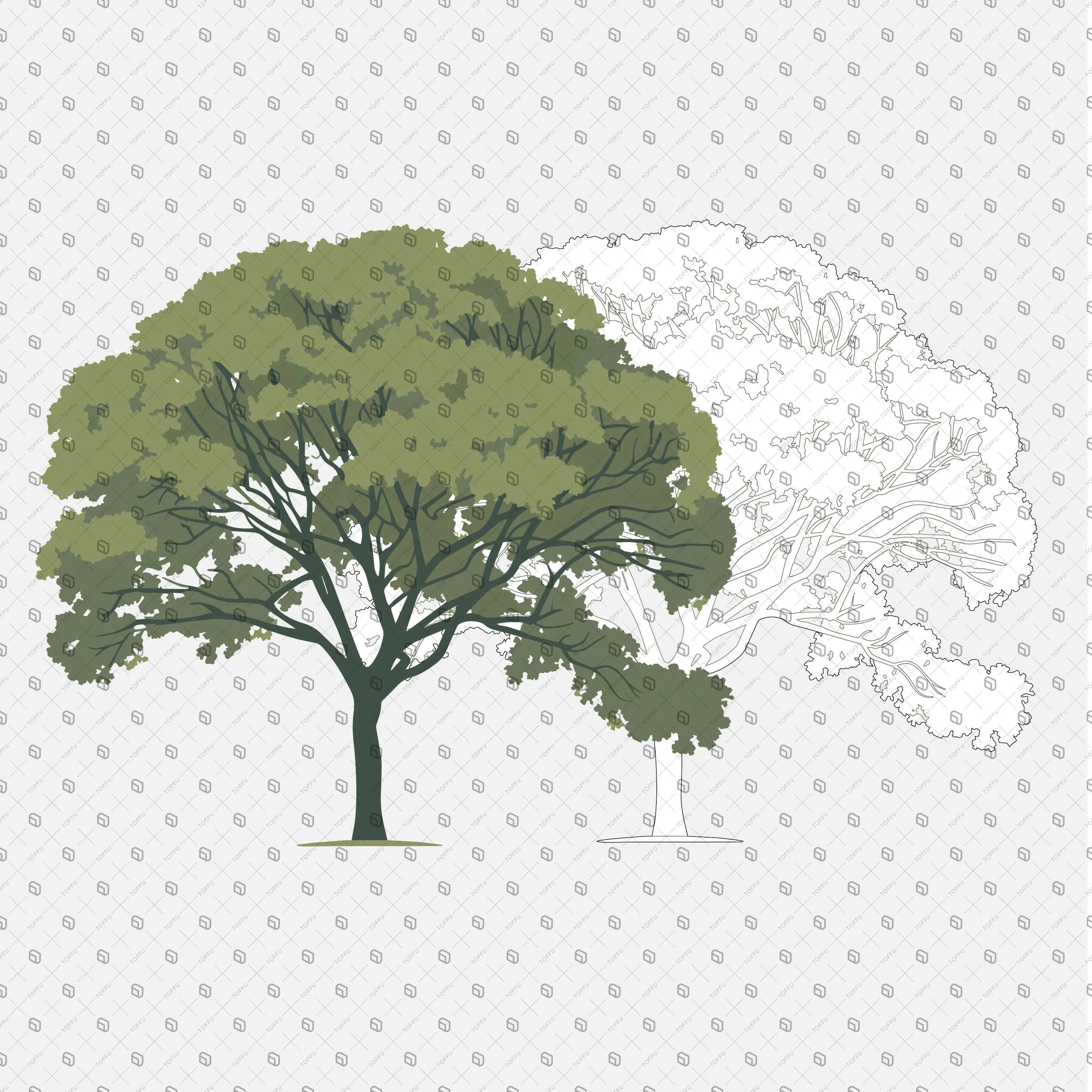 Flat Vector - Cad Trees Elevation