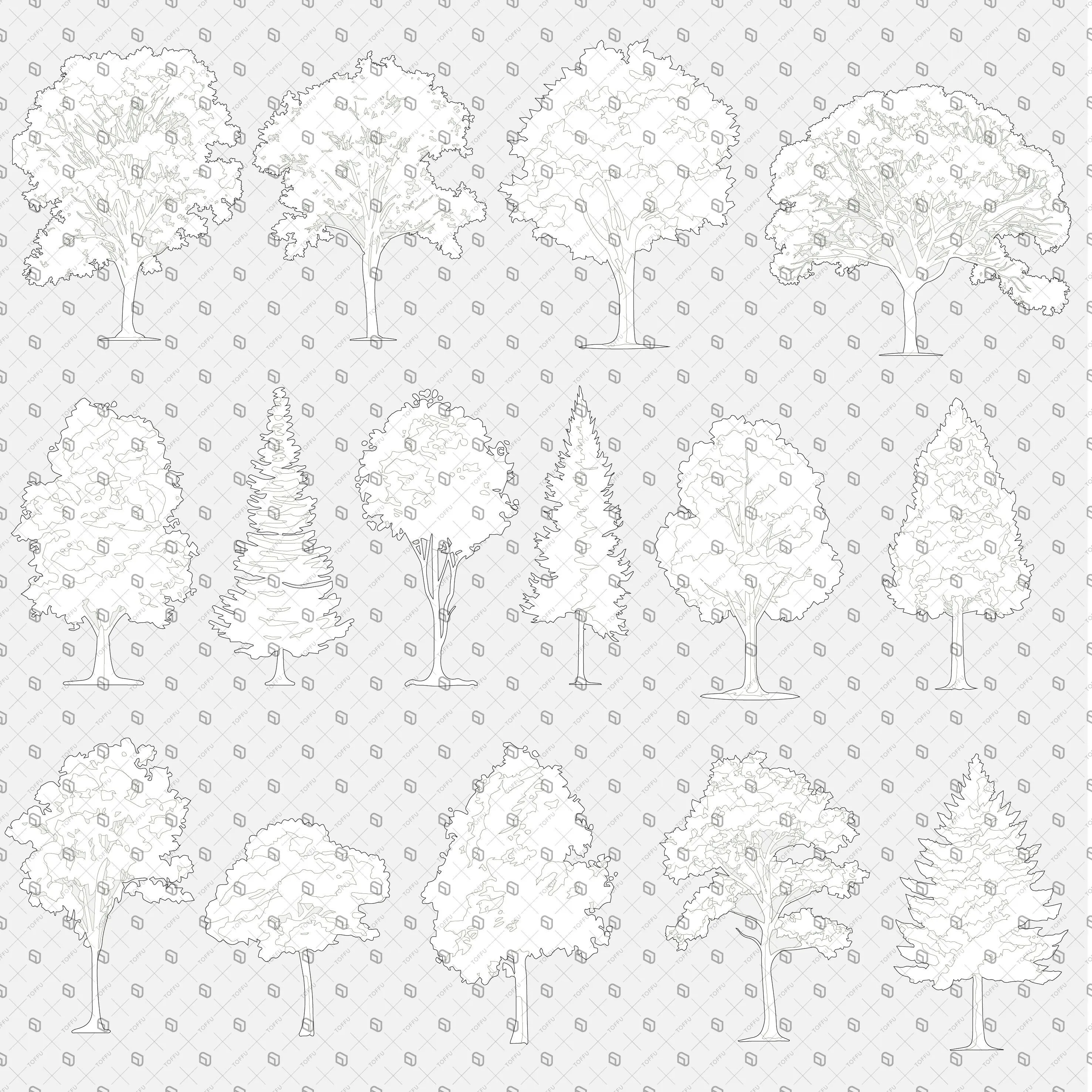 Flat Vector - Cad Trees Elevation