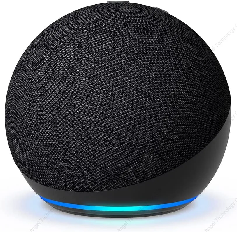 Portable Smart Speaker With Voice Assistant